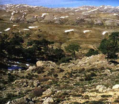 LOS CAMPOS DE HERNAN PEREA