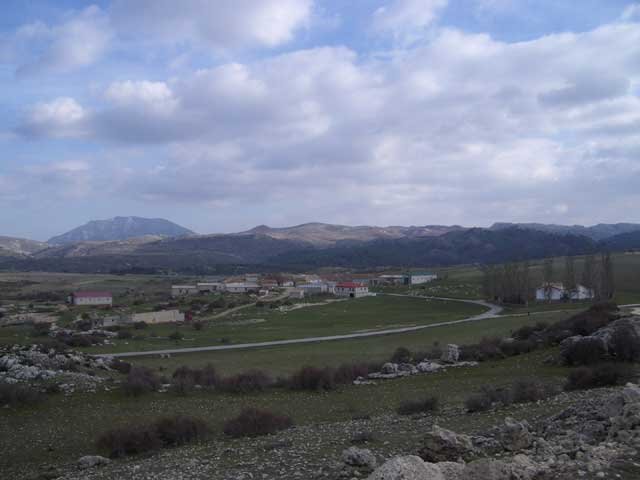 DON DOMINGO
