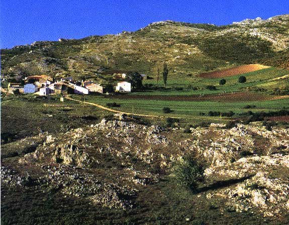 POYOTELLO