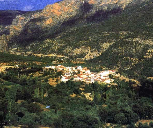 VITES